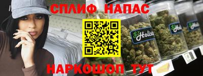 амф Новозыбков