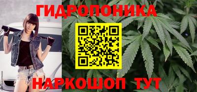 ГАЛЛЮЦИНОГЕННЫЕ ГРИБЫ Новодвинск