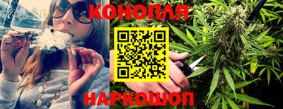 амф Новозыбков