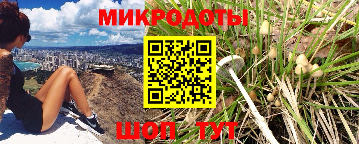 Псилоцибиновые грибы Psilocybine cubensis  Псилоцибиновые грибы Psilocybe  Пугачёв  Вход с VPN 